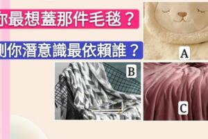 你最想蓋哪件毛毯？測你淺意識最依賴的人是誰？