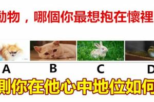 4個動物，哪個你最想抱在懷裡？測你在他心中地位如何