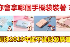 你會拿哪個手機袋裝著？測你2019年能不能財源廣進