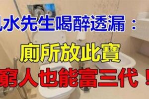 風水先生透漏：若在廁所放了此寶，窮人,也能富三代