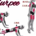 Burpee：一種簡單粗暴但高效的運動