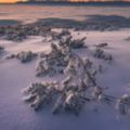 這是波蘭？攝影師拍下「全世界覆蓋冰雪」的絕美景象，夢幻到一瞬間穿越《納尼亞》