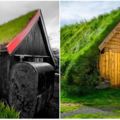 北歐限定《綠色生態屋頂》，獨屬於斯堪地那維亞的超酷文化！