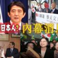 前日本官員：台灣和日本會走得那麼靠近全托他的福！