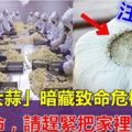 注意！！你家還在買這樣的大蒜嗎？「化學大蒜」暗藏致命危機！對呼吸、中樞神經係統損害嚴重，甚至死亡！家裡有的趕緊扔掉