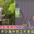 大馬人想去澳洲打工？不少海外勞工不幸成了奴隸！