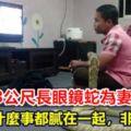 男子娶3公尺長眼鏡蛇為妻，他們每天膩在一起，看電視、野餐、玩牌，非常甜蜜！