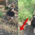 媽媽帶16個月大女兒去公園玩　看照片才發現「女兒差點就不在世上了」