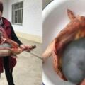 女子殺了養3年的老母雞準備熬湯，一剖開看到裡麵的『黑色巨物』頓時一驚！