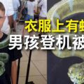 衣服上有蛇圖案男孩登機被擋下要求脫下上衣