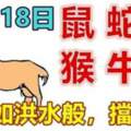 12月18日生肖運勢_鼠、蛇、龍大吉