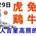 12月29日生肖運勢_虎、兔、羊大吉