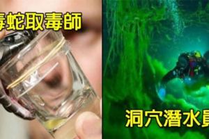 7個「拿生命換錢」但薪水讓人超羨慕的超危險工作，但#4堪稱死亡率超高的職業「薪水卻比22K還慘」？！