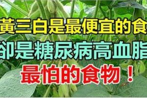 「一黃三白」是最便宜的食物，卻是糖尿病高血脂最怕的食物！