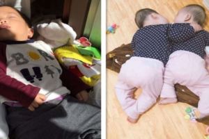16個「上一秒還活蹦亂跳，下一秒卻突然被拔掉電池」的睏意來襲萌小孩