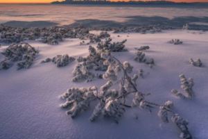 這是波蘭？攝影師拍下「全世界覆蓋冰雪」的絕美景象，夢幻到一瞬間穿越《納尼亞》