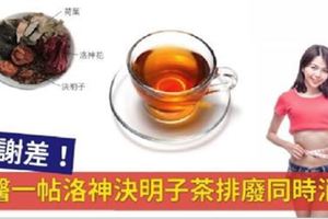 身體代謝差？「洛神決明子茶」幫助你排除體內廢棄物與消脂！