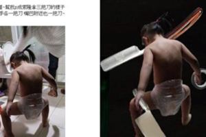 網友PO女兒「拉屎照」，尋求神人P成索隆經典架式「三刀流」......果然又被P壞啦！