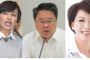 民進黨執政至今不滿意度大爆表，網友：這三個人是造成大家失望的主因