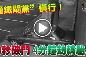 巴生撞鐵閘黨橫行！-20秒破門-4分鐘劫輪胎店！已確認多達12間輪胎店中招。