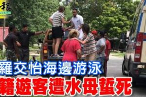 浮羅交怡海邊游泳外籍遊客遭水母蜇死