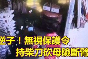 逆子！無視保護令持柴刀砍母險斷臂