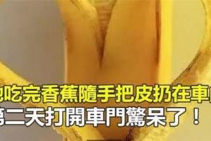 香蕉皮的用處甚至比果肉還多….好處多多！！！