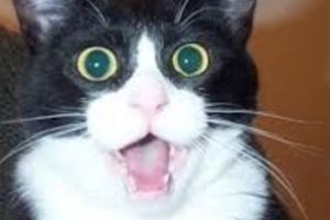 幼兒園老師狂打小孩5分鐘騙簽和解書才給影片.........