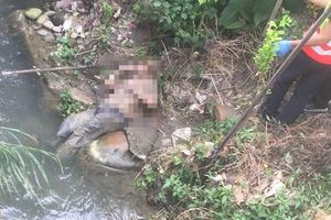 九旬老翁一夜沒回家兒媳赫見溺斃菜園旁溝渠