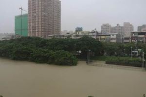 大水淹出上千坑洞謝寒冰說：終於了解高雄海綿城市的意義！