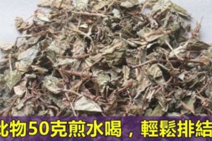 患上結石病可用此物煎水喝，讓石頭排出來。這方法也可在緩解期自我治療結石，避免復發哦！！