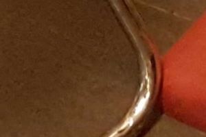 蟑螂家族囂張開趴　民眾速食店用餐直呼：噁心！