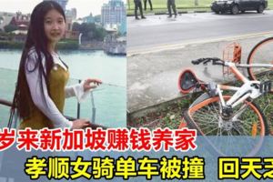 2年前來新加坡打工，19歲中國女孩騎單車被撞，搶救8天，沒見到父母最後一面