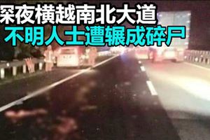 深夜橫越南北大道，不明人士被撞飛後，遭數輛車連環輾過成碎屍!