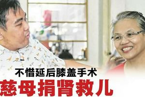 不惜延後膝蓋手術·慈母捐腎救兒