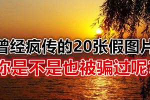 曾經瘋傳的20張假圖片，你是不是也被騙過呢？