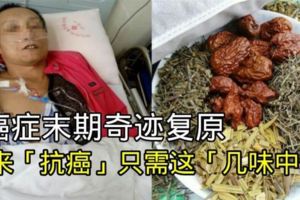 末期奇蹟復原！原來只需要「這幾味中藥」