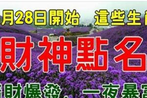 12月28日開始，這些生肖，被財神點名，一夜暴富再也不是夢