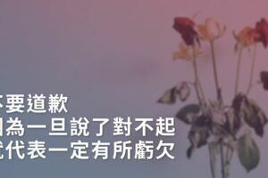 不要道歉，因為一旦說了對不起，就代表一定有所虧欠