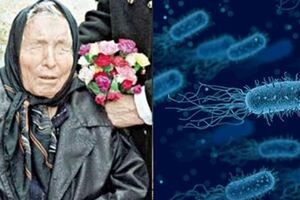 龍婆預言成真？無藥醫超級細菌現北極恐釀全球千萬人死