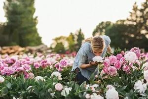 她搬到山谷，建2420坪花園，被評為最美農場主，53萬人天天追著看