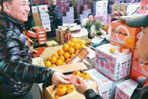 侯友宜發紅包 果菜市場拜早年