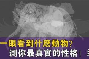 你最先看到什麼動物？看透你的真實性格感情！好凖哦
