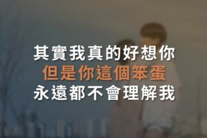 其實我真的好想你，但是你這個笨蛋永遠都不會理解我