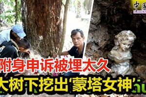 附身申訴被埋太久大樹下挖出『蒙塔女神』