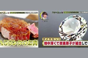 老不起！日本一家頂級養老院每天吃A5和牛，有鑽石葬禮，光入居費就OOO萬，每月房租還要上萬塊！