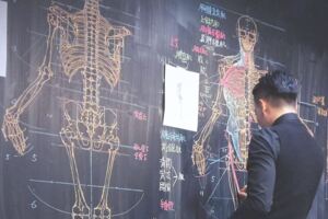 「人體透視圖」畫得比3D骨架還狂！　台灣講師爆紅國外：長超帥又有才