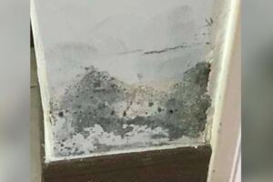 牆壁出現大面積剝落…　超樂觀屋主「一招變山水畫」網笑：唐伯虎轉世