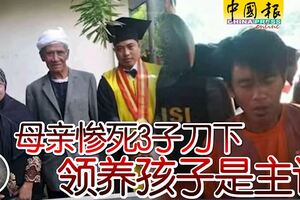 母親慘死3子刀下領養孩子是主謀