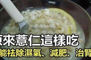 ​原來薏仁這樣吃才能「祛除濕氣、減肥、治腎虛」趕緊收藏吧！